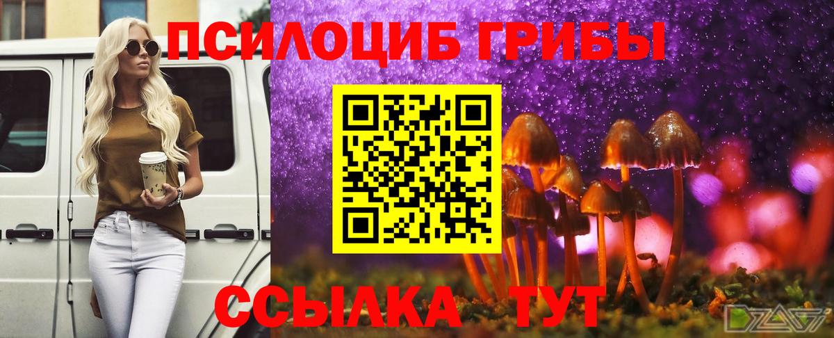 Псилоцибиновые грибы Magic Shrooms  Вход с VPN  Псилоцибиновые грибы MAGIC MUSHROOMS  Корсаков 